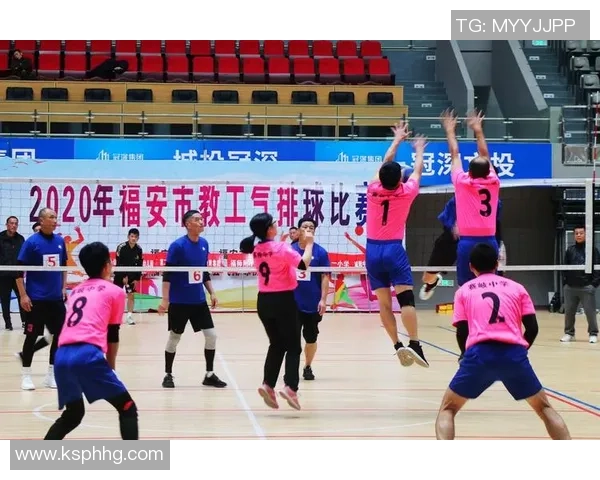 权威发布:排球耐力实力榜单